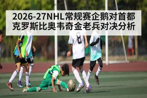 2026-27NHL常规赛企鹅对首都 克罗斯比奥韦奇金老兵对决分析