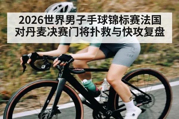 2026世界男子手球锦标赛法国对丹麦决赛门将扑救与快攻复盘